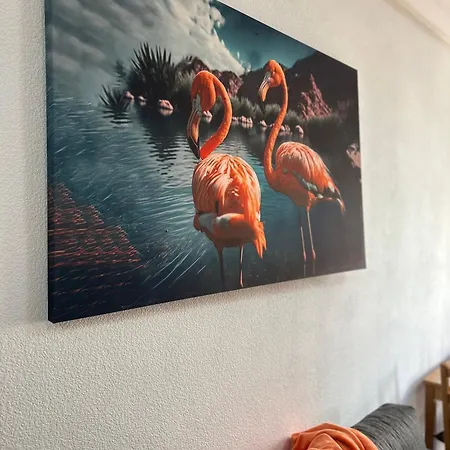 Flamingo Torrevieja