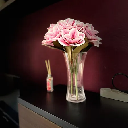 Appartement Flamingo *
